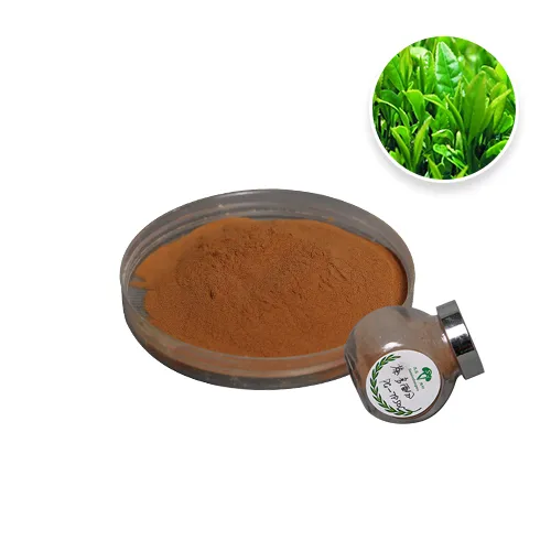 Green Tea Extract Powder